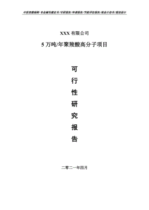 5万吨年聚羧酸高分子项目可行性研究报告申请立项.doc