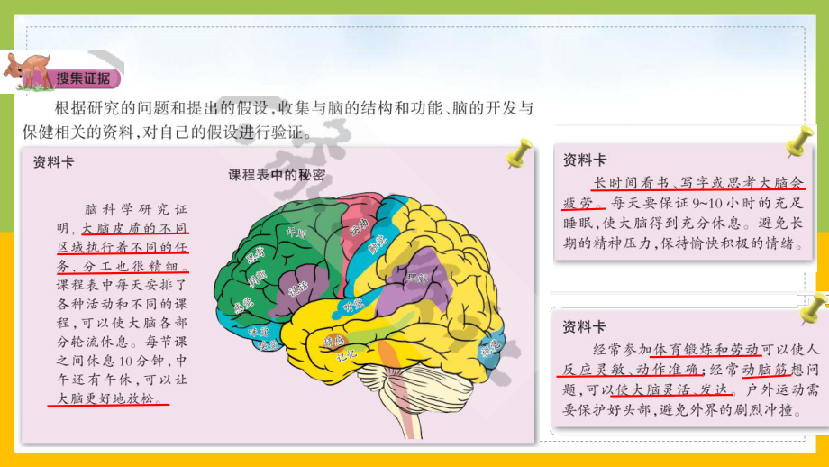 大象版2022-2023五年级科学上册《2-4脑的保健》课件.pptx_第3页