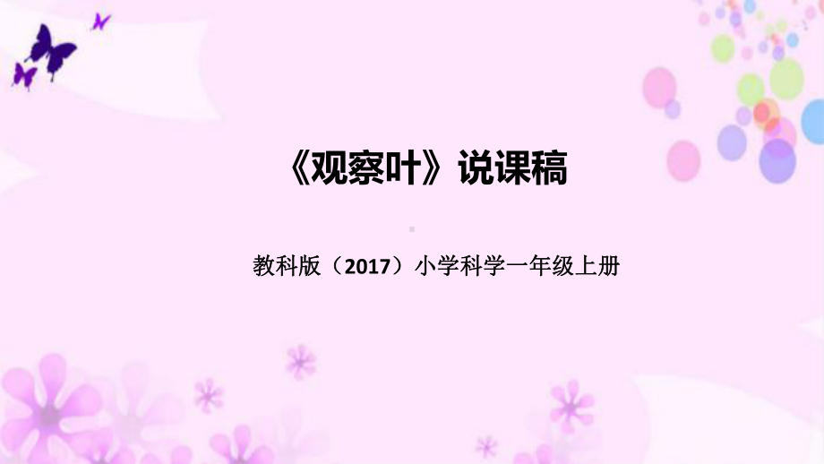 1.3观察叶 说课稿 ppt课件（共39张PPT）-2022新教科版一年级上册《科学》.pptx_第1页