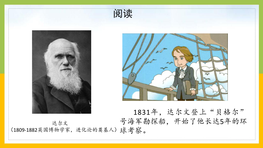 大象版2022-2023三年级科学上册反思单元《达尔文给我们的启示》课件.pptx_第3页