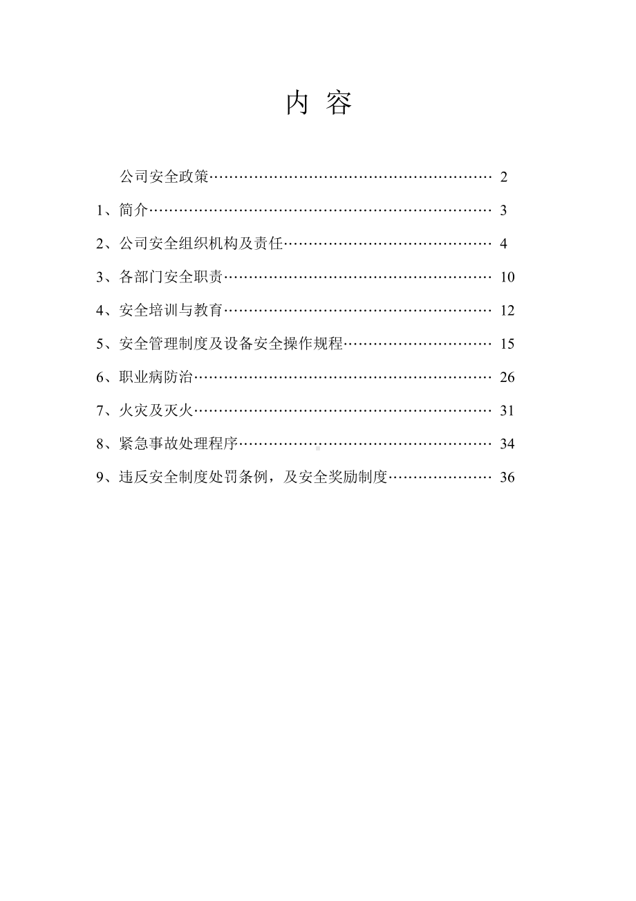 某公司安全手册（1）.doc_第1页