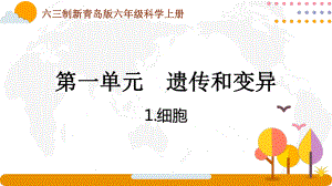 六三制青岛版2022-2023六年级科学上册第一单元《遗传和变异》全部课件（一共3课时）.pptx