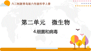 六三制青岛版2022-2023六年级科学上册第二单元《微生物》全部课件（一共3课时）.pptx