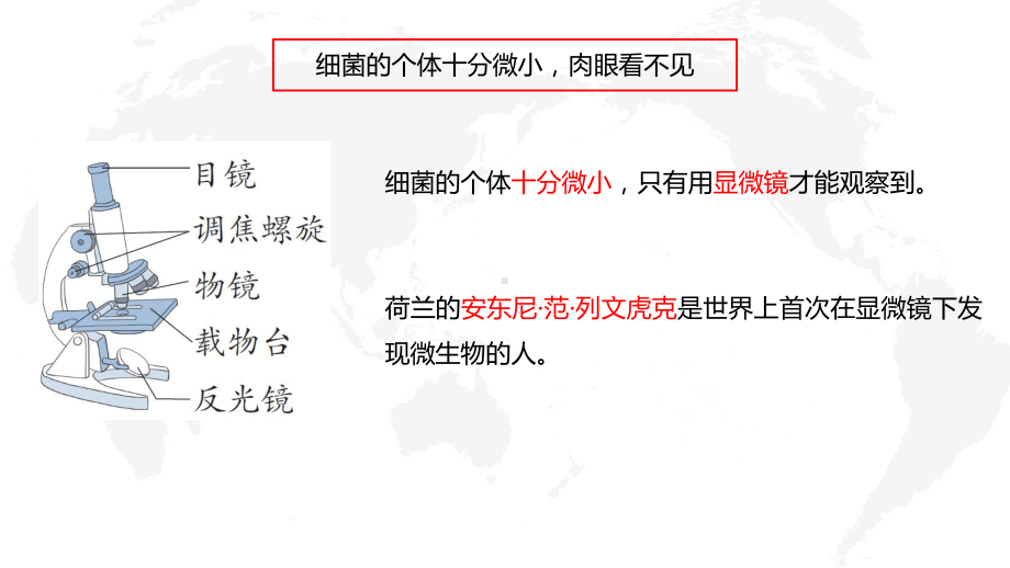 六三制青岛版2022-2023六年级科学上册第二单元《微生物》全部课件（一共3课时）.pptx_第3页