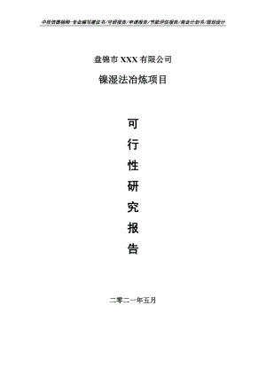 镍湿法冶炼项目可行性研究报告申请备案.doc