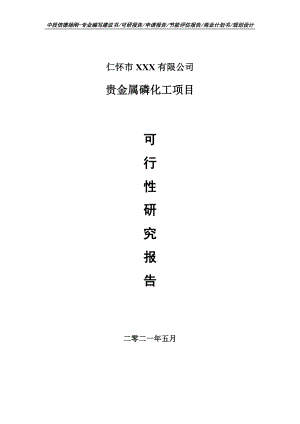 贵金属磷化工项目可行性研究报告申请备案.doc