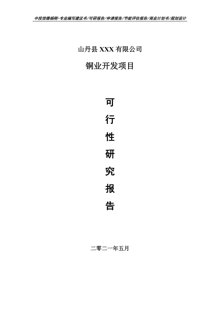 铜业开发项目可行性研究报告建议书申请立项doc.doc_第1页