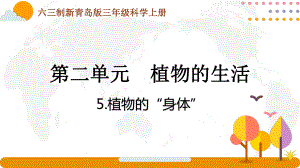 六三制青岛版三年级科学上册第二单元《植物的生活》全部课件（一共4课时）.pptx