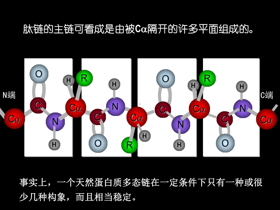 生物化学合工大第二章蛋白质化学2课件.ppt_第3页