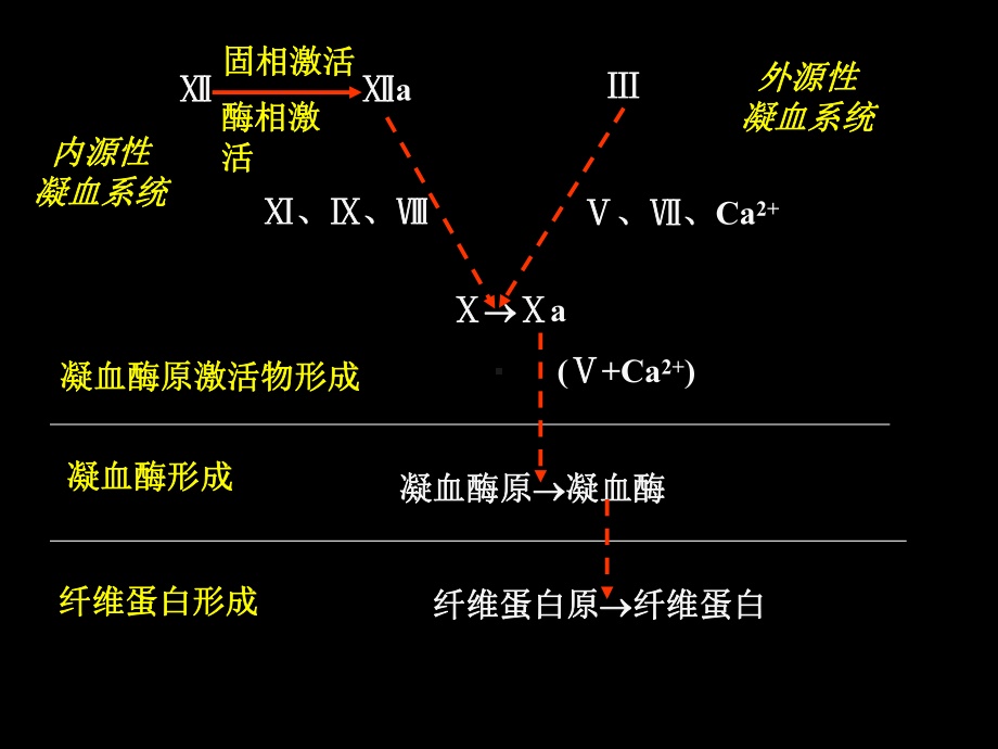 现代基础医学概论(第二十六章).课件.ppt_第3页