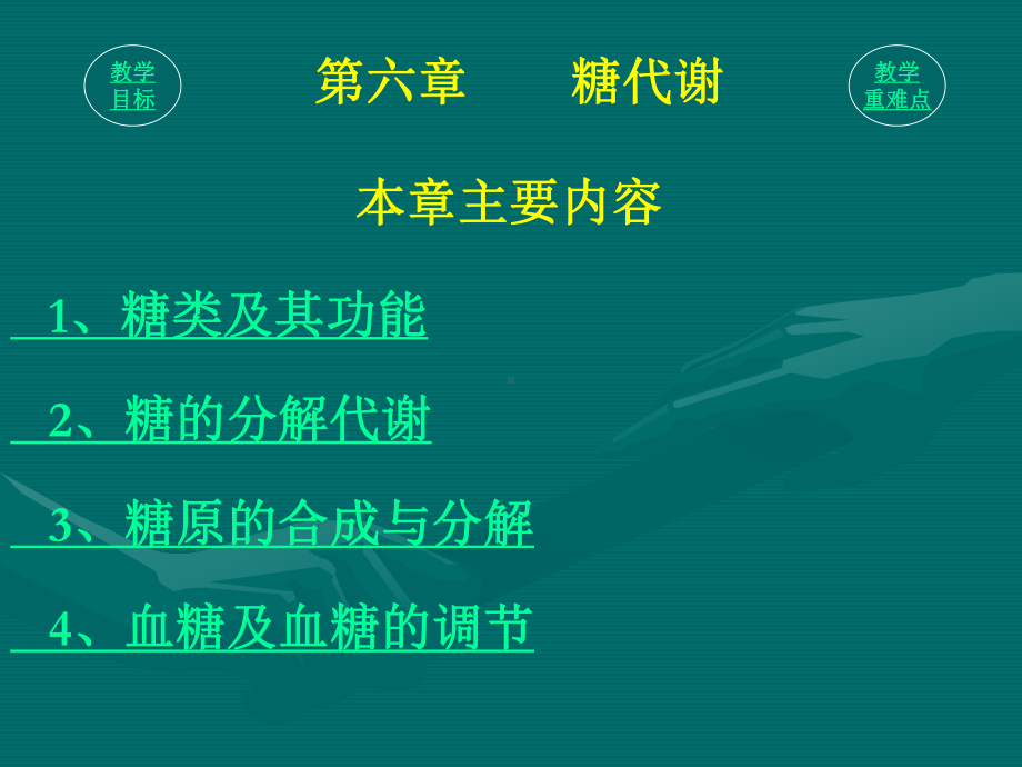 生化教案糖代谢课件.ppt_第1页