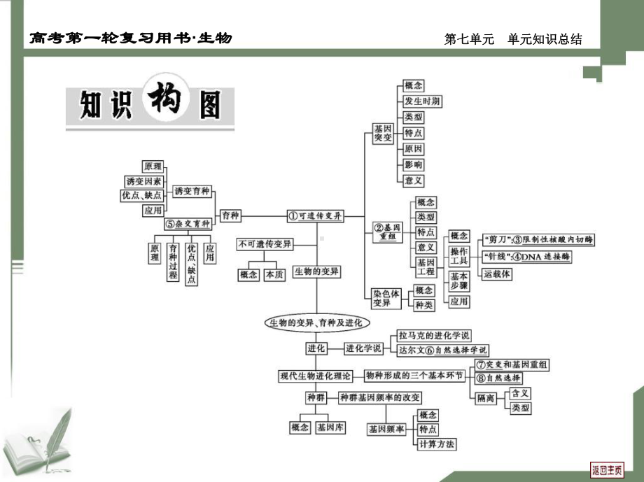 生物的变异、育种与进化单元知识总结课件.ppt_第2页