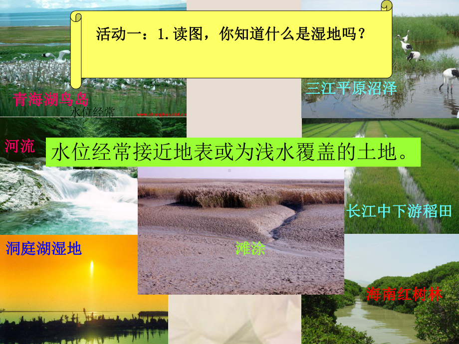 湿地资源的开发与保护-以洞庭湖为例2湘教版课件.ppt_第3页