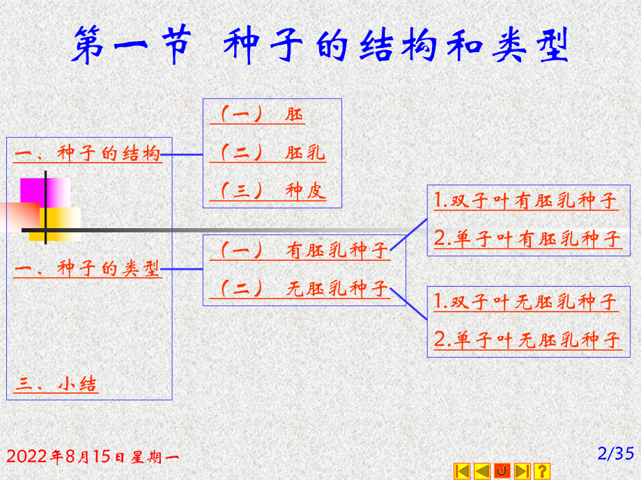 种子和幼苗解析课件.ppt_第2页