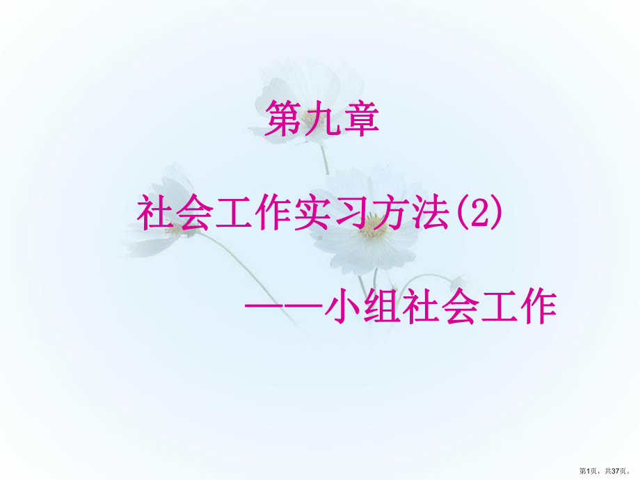 社会工作实习方法2小组社会工作课件.ppt_第1页