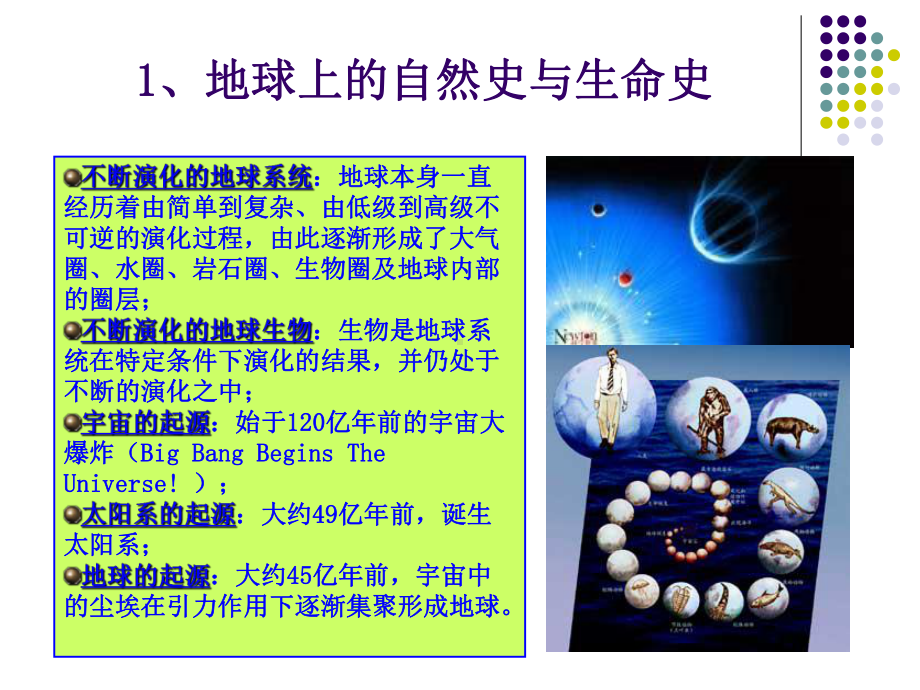 生物信息学3生物学基础课件.ppt_第3页