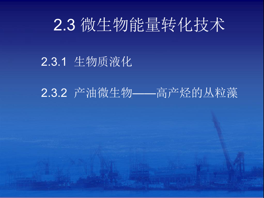 生物质能技术课件.ppt_第3页