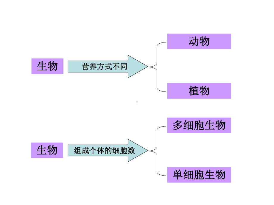 物种的多样性(浙教版)课件.ppt_第2页