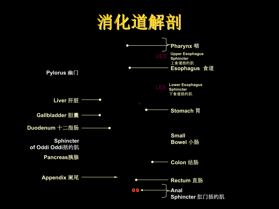 消化系统疾病常用药物课件2.ppt_第2页