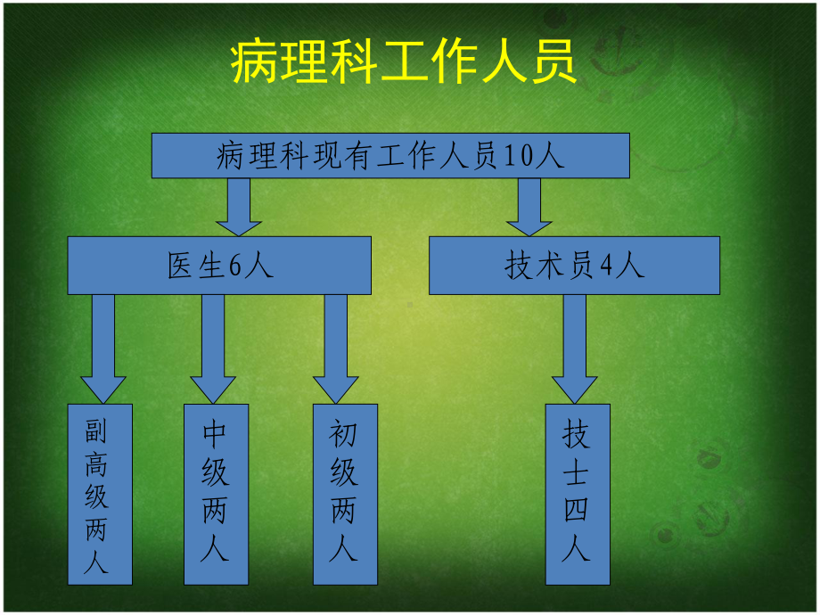 病理科医疗质量与安全课件.ppt_第2页