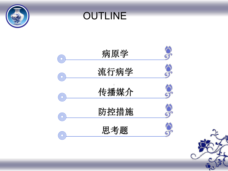 登革热培训(本单位)课件.ppt_第2页