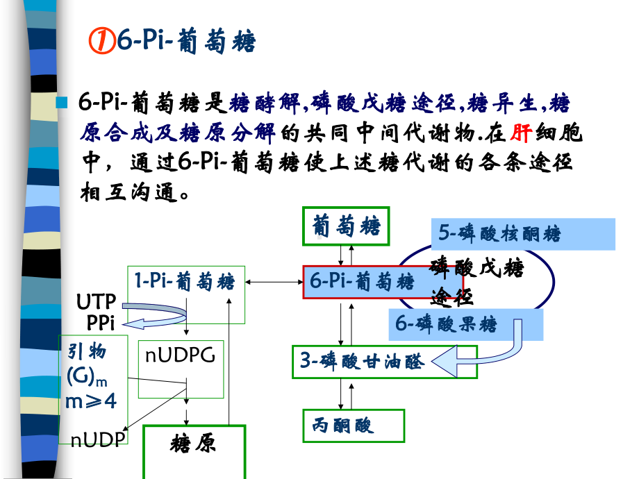 物质代谢的相互联系与调控课件.ppt_第3页