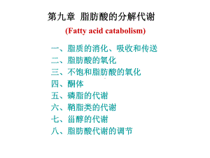 生物化学考研课件第10章.ppt