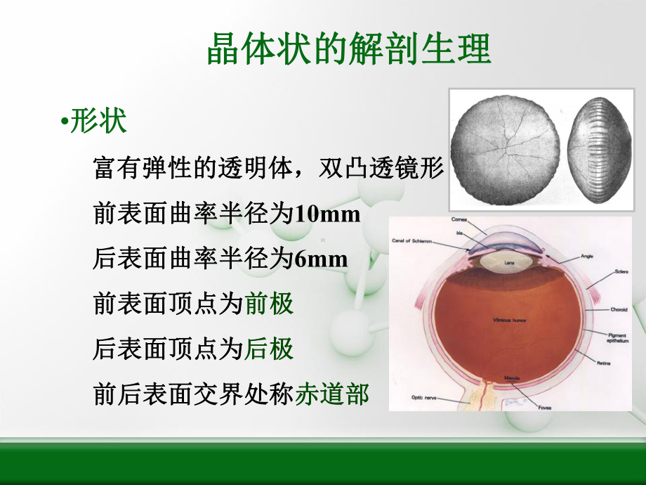 眼科学：晶状体病课件.ppt_第3页