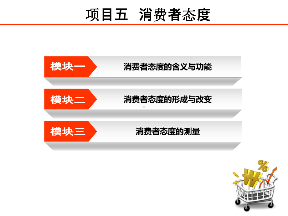 消费者行为分析与实务教学案例NO5课件.ppt_第2页