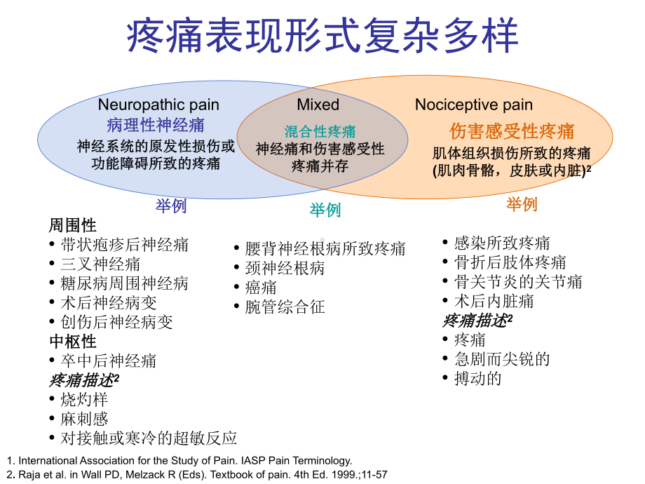 神经病理性疼痛诊断与治疗课件.ppt_第3页