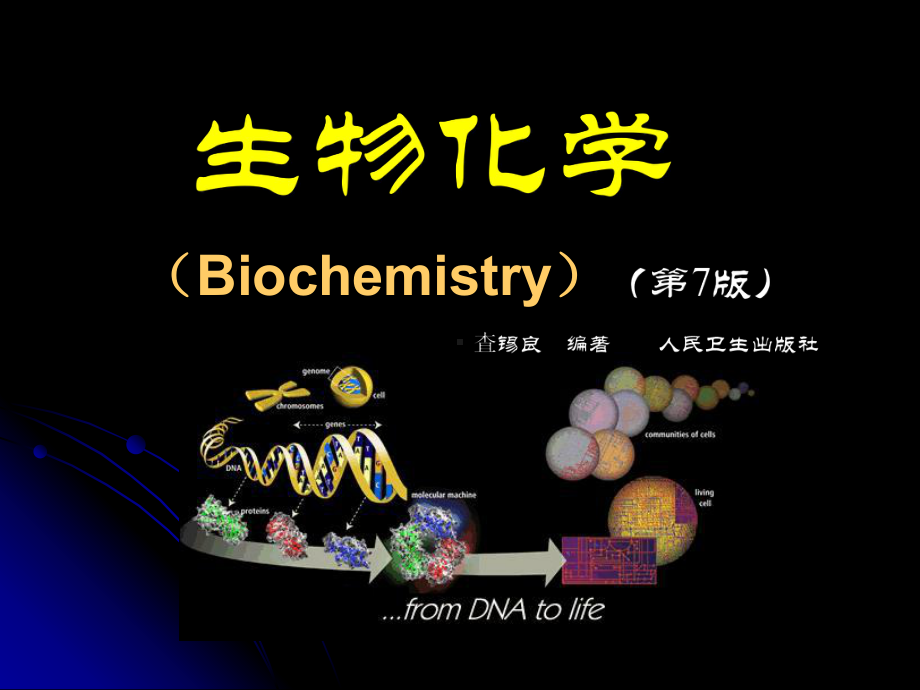 生物化学1绪论p课件.ppt_第1页