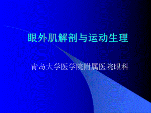 眼肌解剖课件.ppt