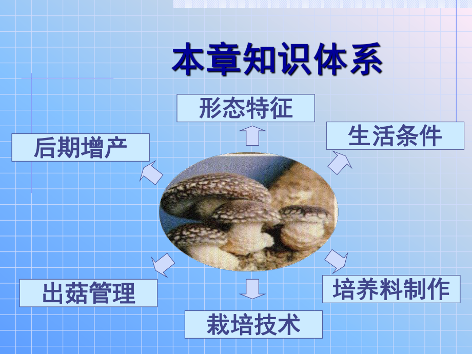 第八部分香菇栽培课件.ppt_第2页