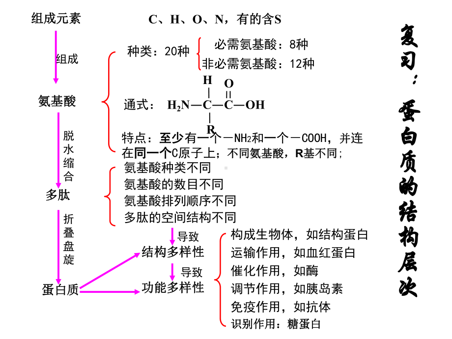 生命活动的主要承担者蛋白质第二课时计算题型精品课件.ppt_第2页