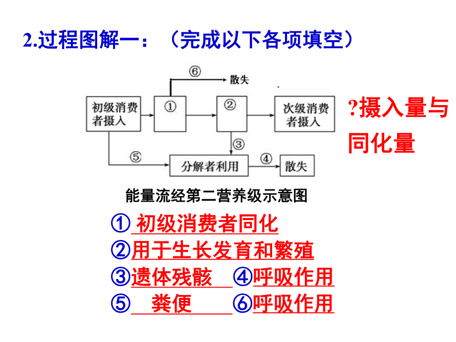 热能散失源头太阳能流经生态系统的总能量生产者课件.ppt_第3页