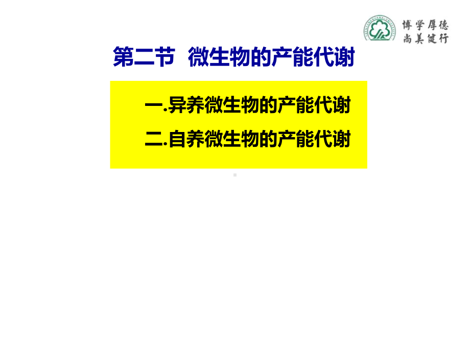 知识点2微生物的生物氧化课件.ppt_第1页