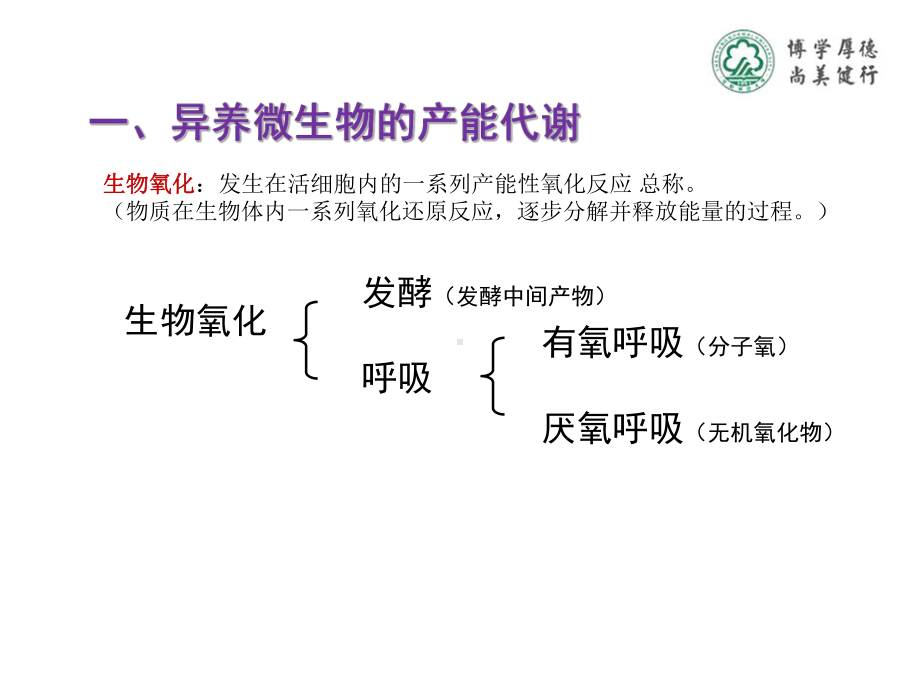 知识点2微生物的生物氧化课件.ppt_第2页