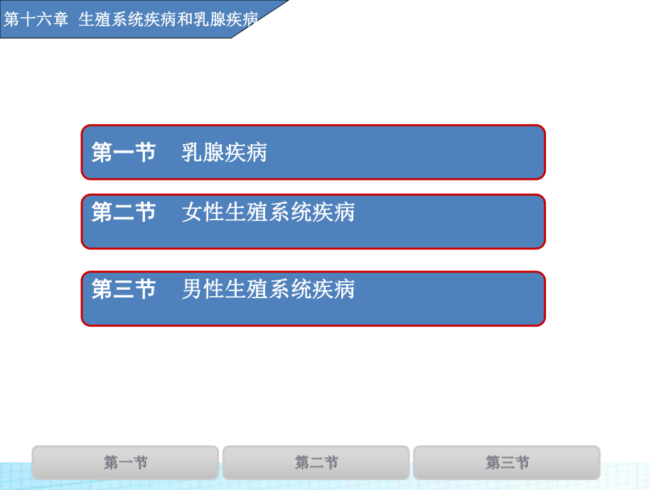 疾病第十六章生殖系统疾病和乳腺疾病课件.ppt_第2页