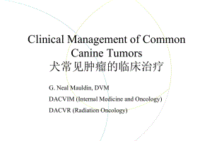 犬常见肿瘤的临床治疗课件.ppt