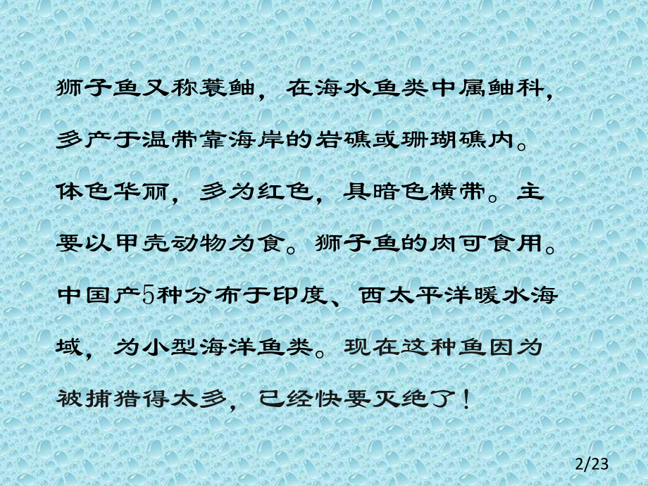 漂亮的狮子鱼课件.ppt_第2页