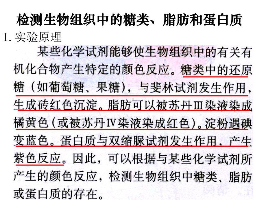 生物实验《检测生物组织中的糖类、蛋白质、脂肪》课件新人教版必修1.ppt_第2页