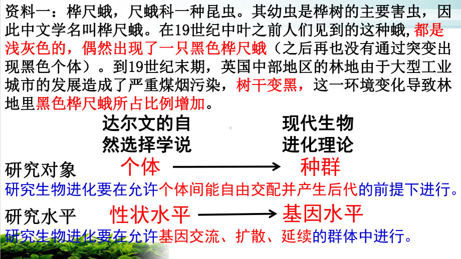 现代生物进化理论的主要内容完整版课件.ppt_第3页