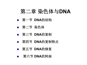 第二次课第二章DNA结构和染色体课件.ppt