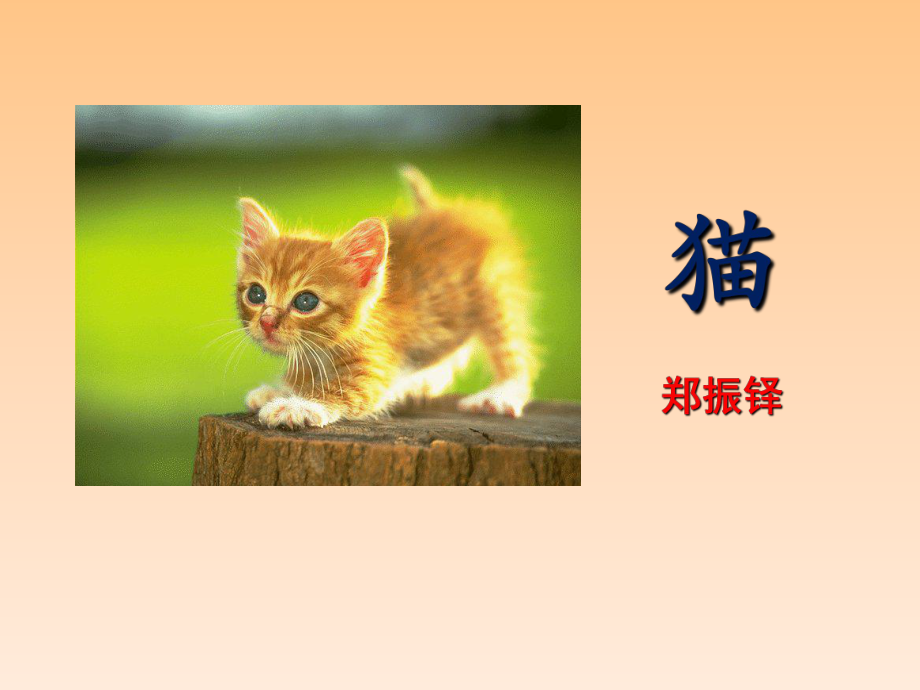 深圳七年级语文部编版初一上册《猫》课件（校公开课）.ppt_第1页