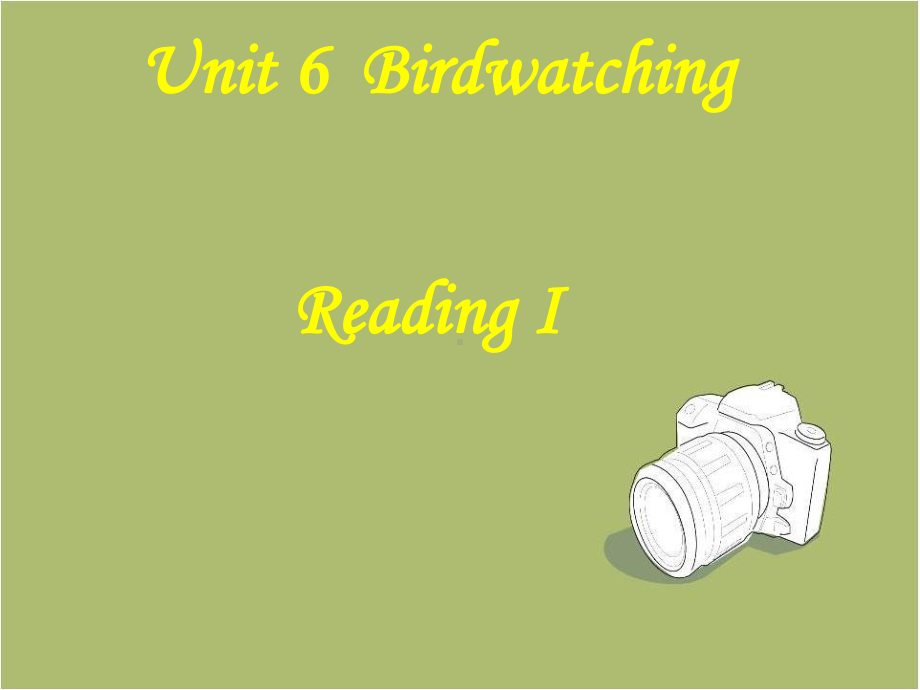 牛津译林版8AUnit6BirdwatchingReading1课件.ppt_第1页