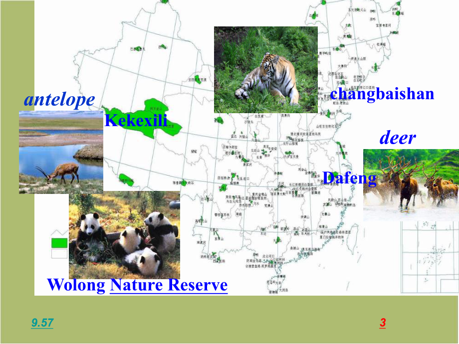 牛津译林版8AUnit6BirdwatchingReading1课件.ppt_第3页