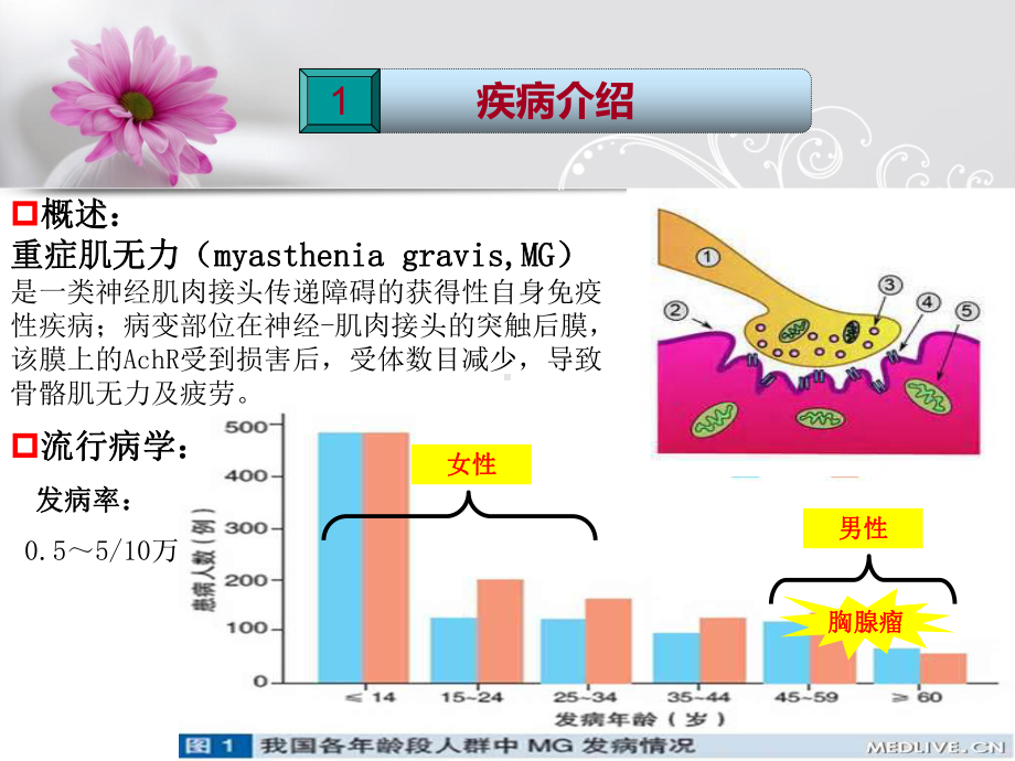 病例分析：重症肌无力病例分析课件.ppt_第3页