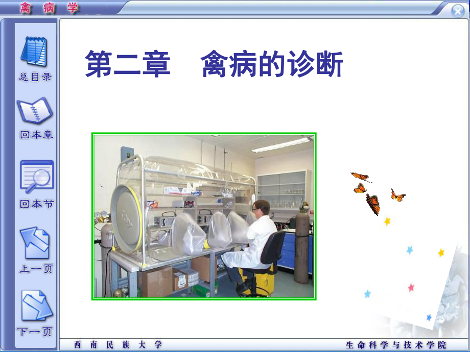 禽病学第二章禽病的诊断课件.ppt_第1页