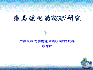 海马硬化的MRI研究课件.ppt