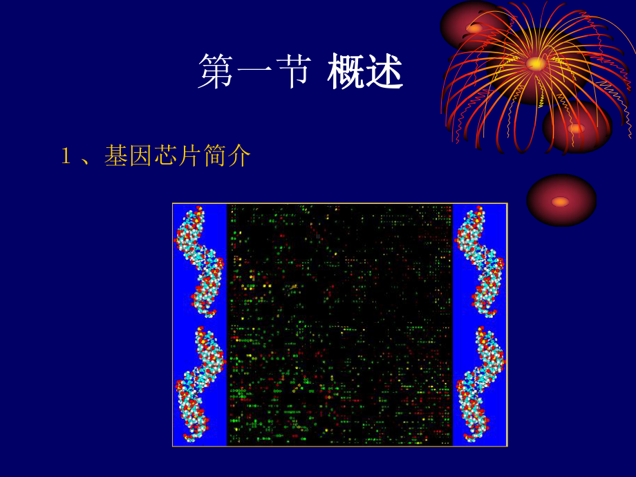 生物信息学在基因芯片中的应用课件.ppt_第3页